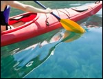 Florida Canoe and Kayak Rentals and Kayak Tours